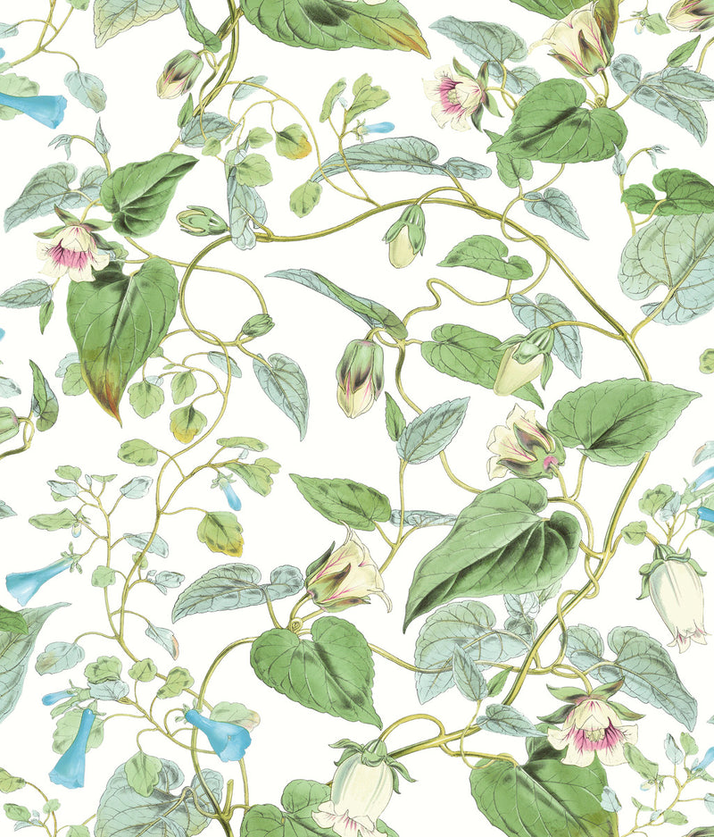 media image for Moon Flower Wallpaper in White from the Blooms Second Edition 263