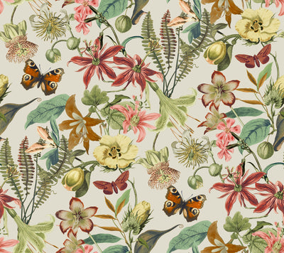 product image of Butterfly House Wallpaper in Light Taupe/Coral from the Blooms Second Edition 555