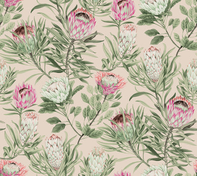 product image of Protea Wallpaper in Blush from the Blooms Second Edition 555