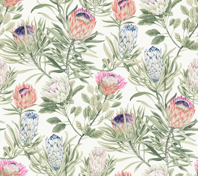 media image for Protea Wallpaper in White/Fuchsia from the Blooms Second Edition 218