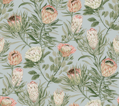 product image of Protea Wallpaper in Dusty Blue/Coral from the Blooms Second Edition 583