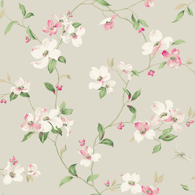 product image of Dogwood Wallpaper in Taupe from the Blooms Second Edition 563