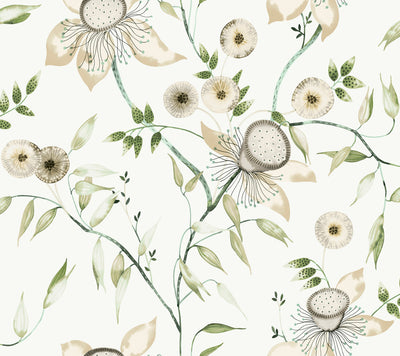 product image of Dream Blossom Wallpaper in White/Green from the Blooms Second Edition 545