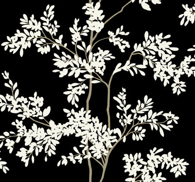 product image of Lunaria Silhouette Wallpaper in Black/White from the Blooms Second Edition 572