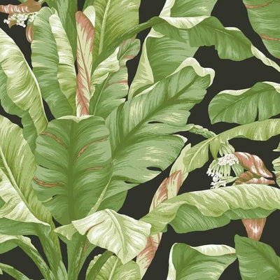 product image of Banana Leaf Peel & Stick Wallpaper in Green and Black by York Wallcoverings 50