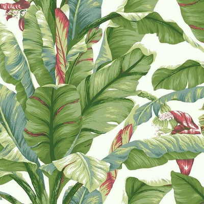 product image for Banana Leaf Peel & Stick Wallpaper in White and Green by York Wallcoverings 72