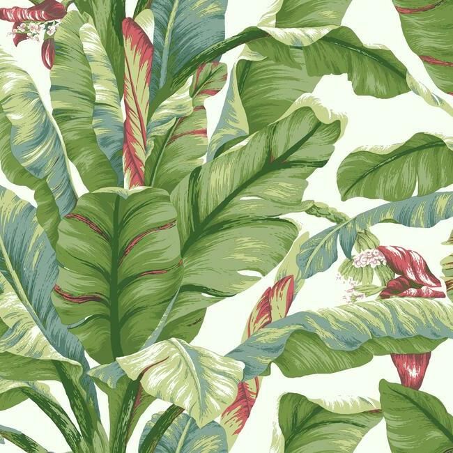 media image for Banana Leaf Peel & Stick Wallpaper in White and Green by York Wallcoverings 211