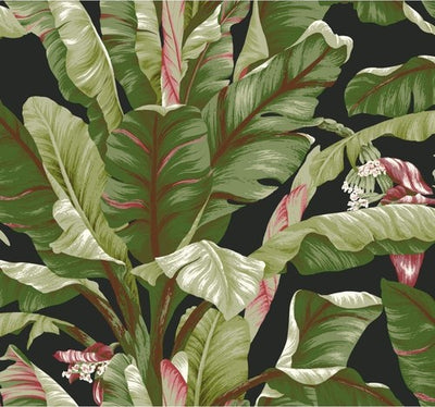 product image of Banana Leaf Wallpaper in Green and Black by York Wallcoverings 514