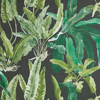 product image for Benmore Wallpaper in Emerald and Ebony from the Ashdown Collection by Nina Campbell for Osborne & Little 46