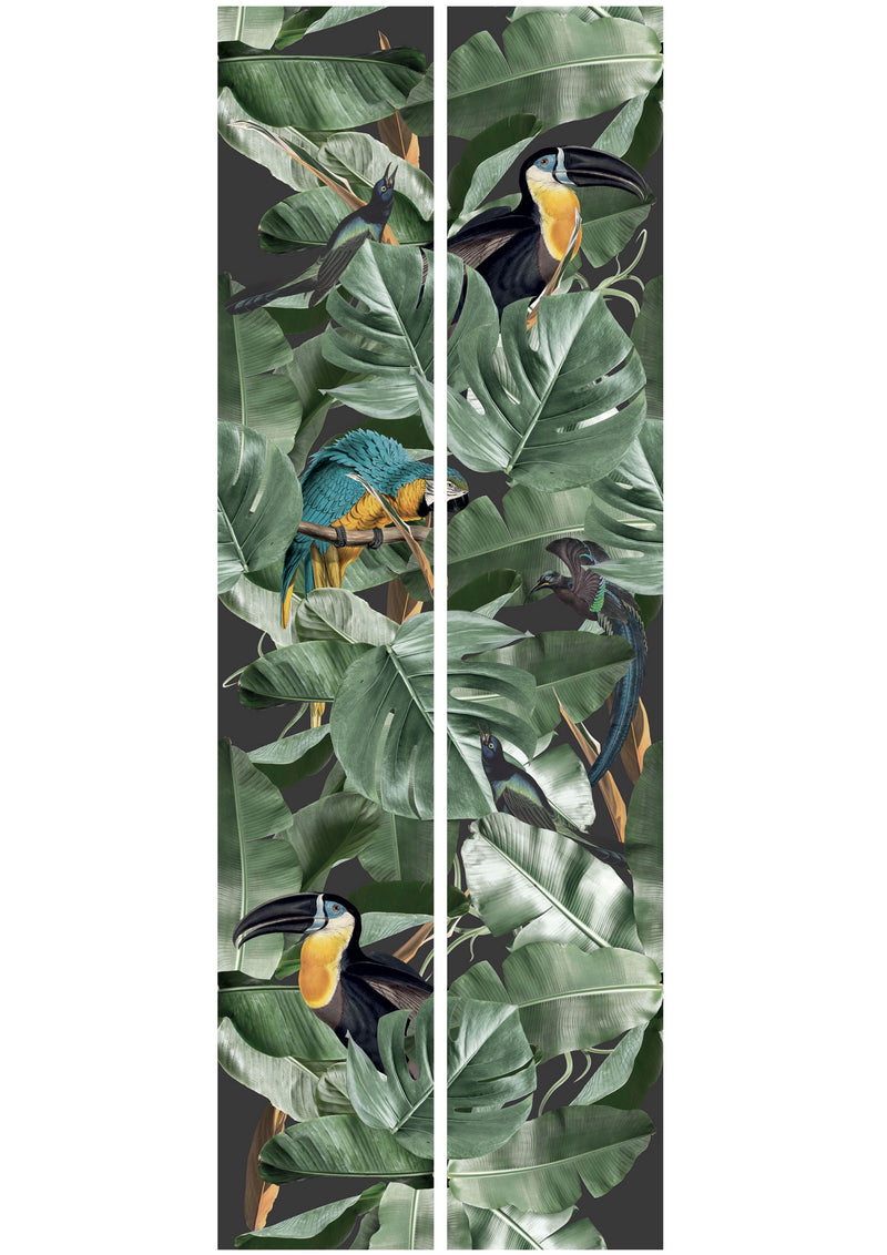 media image for Botanical Birds Wallpaper in Black by KEK Amsterdam 211