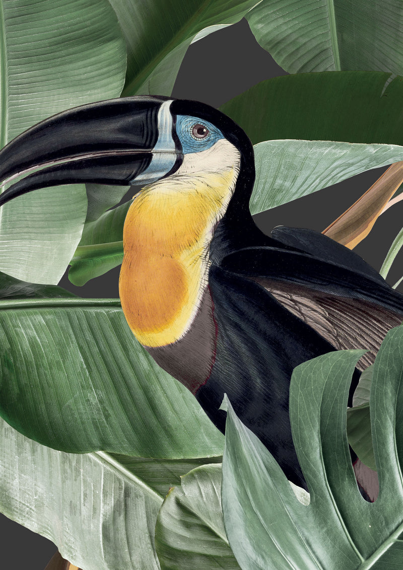 media image for Botanical Birds Wallpaper in Black by KEK Amsterdam 269