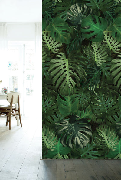 product image of Botanical Wallpaper Monstera by KEK Amsterdam 513