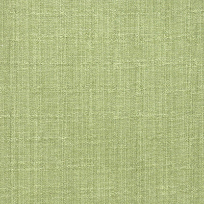 product image of Sample Champion Fabric in Green 547