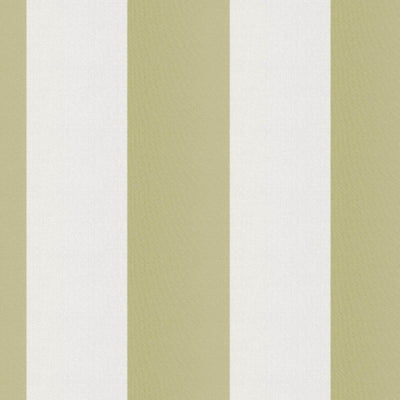 product image of Sample Cirque Fabric in Green/White 563