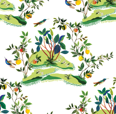 product image of Sample Citrus Hummingbird Wallpaper in White 562