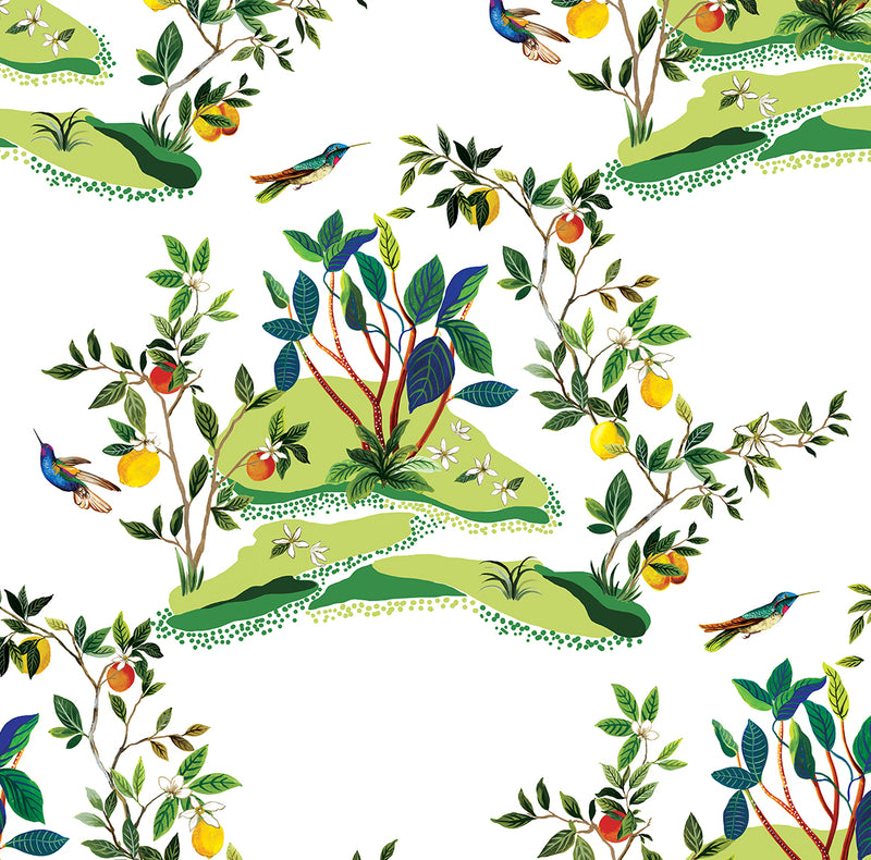 media image for Sample Citrus Hummingbird Wallpaper in White 262