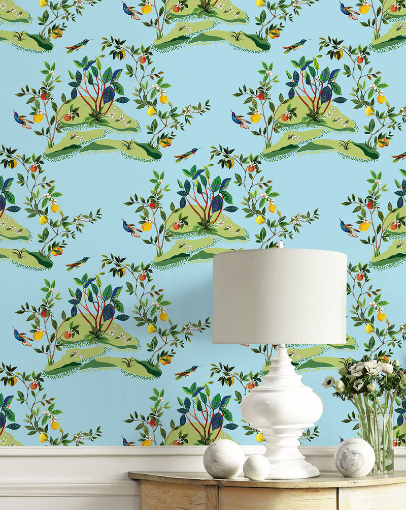 media image for Citrus Hummingbird Wallpaper in Sky Blue 289