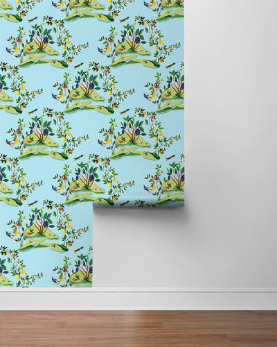 product image for Citrus Hummingbird Wallpaper in Sky Blue 63