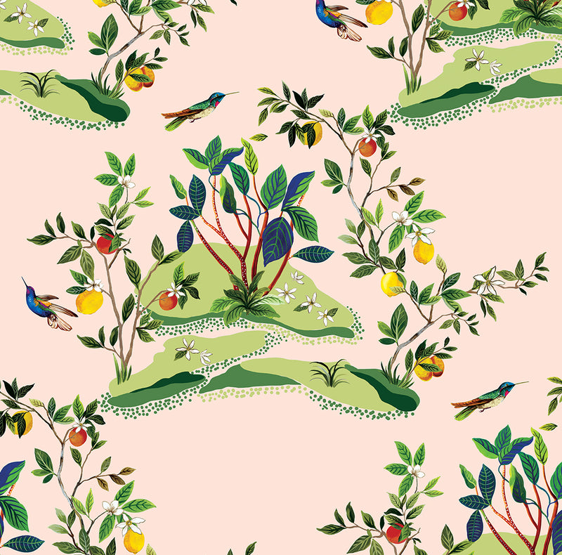 media image for Citrus Hummingbird Wallpaper in Blush 241