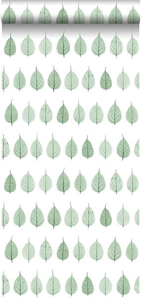 product image for Greenhouse Green Leaves Wallpaper from Design Department by Brewster 92