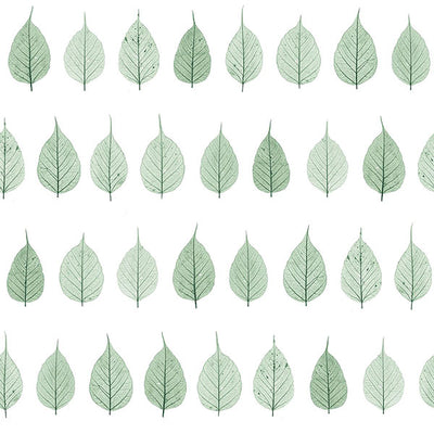 product image of Greenhouse Green Leaves Wallpaper from Design Department by Brewster 597