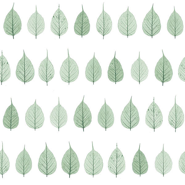 media image for Greenhouse Green Leaves Wallpaper from Design Department by Brewster 249