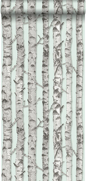 media image for Merman Mint Birch Tree Wallpaper from Design Department by Brewster 230