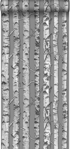 product image for Merman Grey Birch Tree Wallpaper from Design Department by Brewster 21