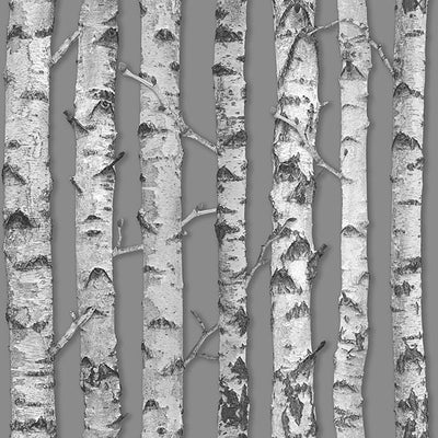 product image of Merman Grey Birch Tree Wallpaper from Design Department by Brewster 528