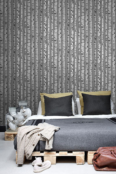 product image for Merman Grey Birch Tree Wallpaper from Design Department by Brewster 43