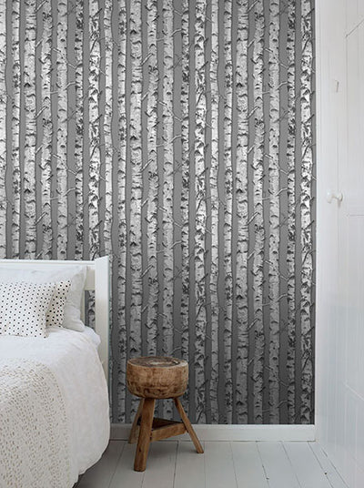 product image for Merman Grey Birch Tree Wallpaper from Design Department by Brewster 61