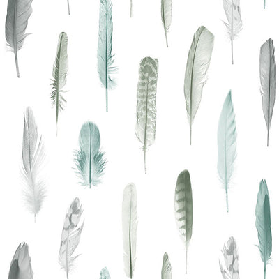 product image of Nala Multicolor Feathers Wallpaper from Design Department by Brewster 549