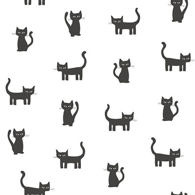 product image for Salem Black Kittens Wallpaper from Design Department by Brewster 67