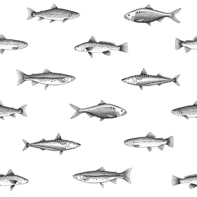 product image of Fiyero Off-White Fish Wallpaper from Design Department by Brewster 524