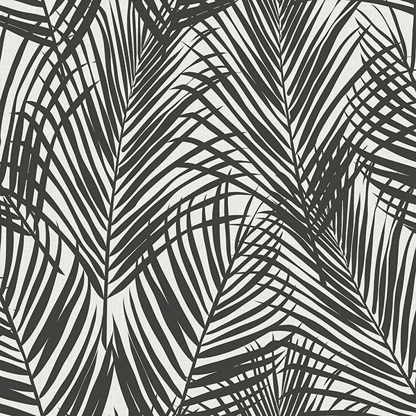media image for Fifi Black Palm Frond Wallpaper from Design Department by Brewster 215