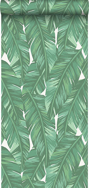 product image for Dumott Green Tropical Leaves Wallpaper from Design Department by Brewster 81