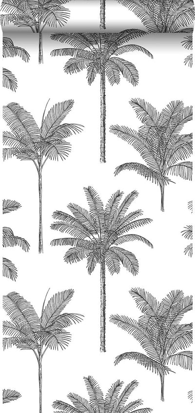 product image for Taj Charcoal Palm Trees Wallpaper from Design Department by Brewster 11