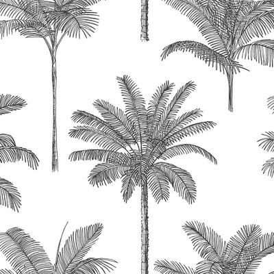 product image of Taj Charcoal Palm Trees Wallpaper from Design Department by Brewster 514