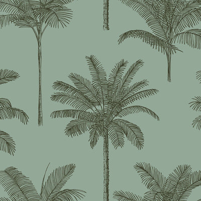 product image for Taj Sage Palm Trees Wallpaper from Design Department by Brewster 69