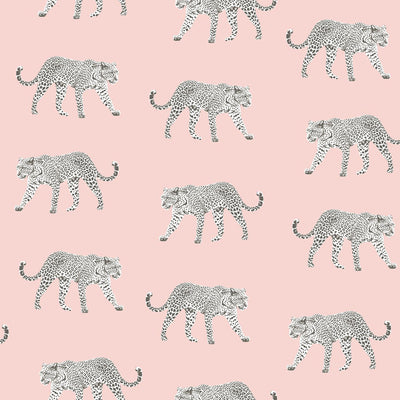 product image of Prowl Pink Jaguars Wallpaper from Design Department by Brewster 510