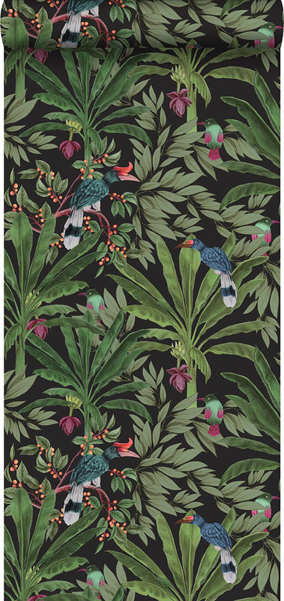 product image for Carola Black Jungle Tropics Wallpaper from Design Department by Brewster 61