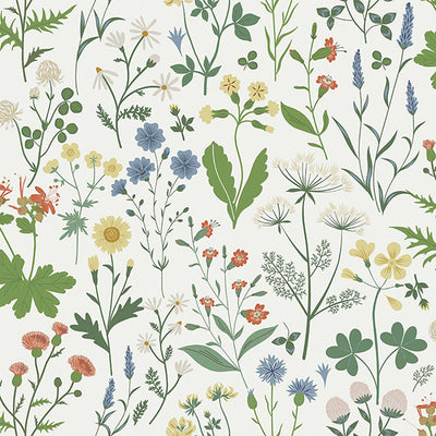 product image of Fiore Green Wildflowers Wallpaper from Design Department by Brewster4 56