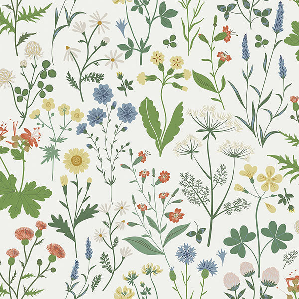 media image for Fiore Green Wildflowers Wallpaper from Design Department by Brewster4 240