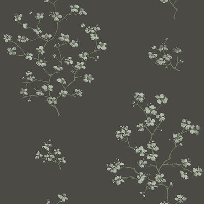 product image of Morrible Black Floral Wallpaper from Design Department by Brewster 542