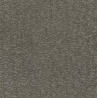 product image of sample weathered cypress wallpaper in silver from the dazzling dimensions vol 2 collection by antonina vella 1 581