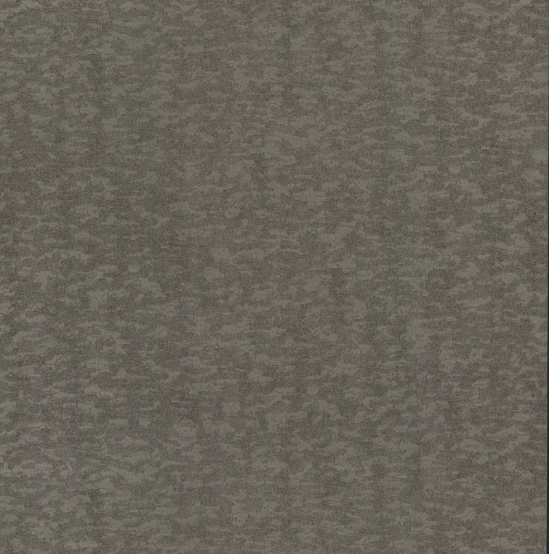 media image for sample weathered cypress wallpaper in silver from the dazzling dimensions vol 2 collection by antonina vella 1 294