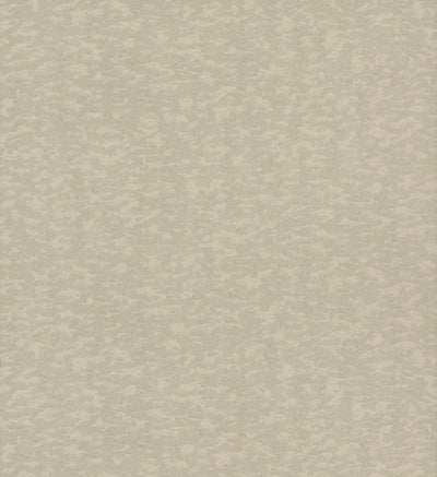 product image for Weathered Cypress Wallpaper in Taupe from the Dazzling Dimensions Vol. 2 Collection by Antonina Vella 38