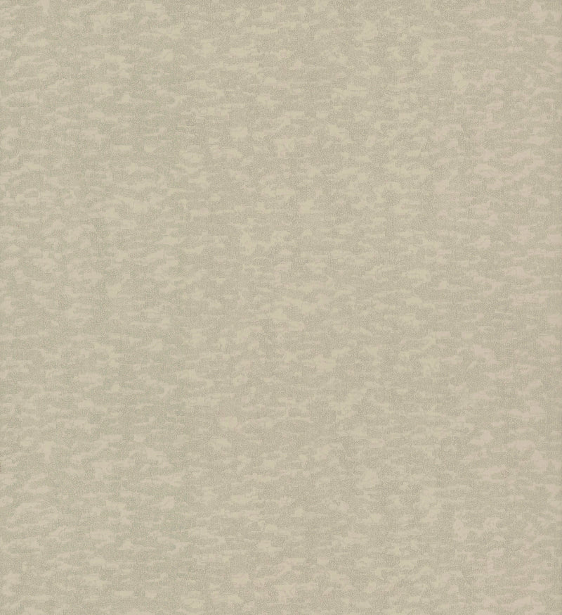 media image for Weathered Cypress Wallpaper in Taupe from the Dazzling Dimensions Vol. 2 Collection by Antonina Vella 215