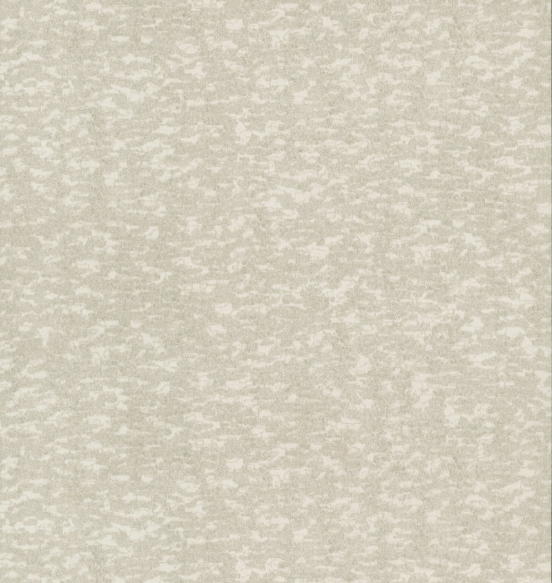 media image for Weathered Cypress Wallpaper in White from the Dazzling Dimensions Vol. 2 Collection by Antonina Vella 272