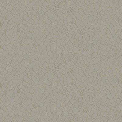 product image of Webbing Geometric Wallpaper in Beige 562